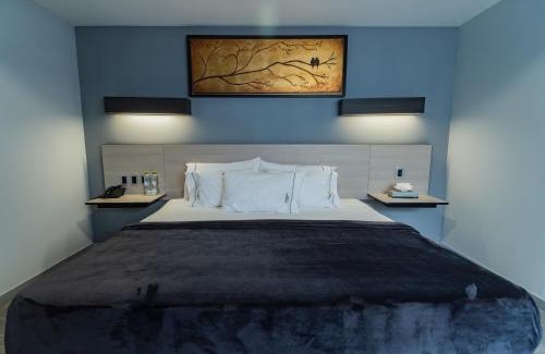 Zona Expo Hotel | HOTEL LEMON GREEN -Zona Expo Frente al Centro de Convenciones