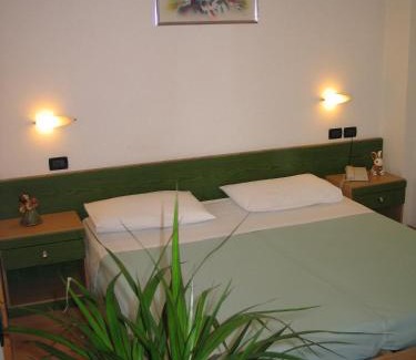 Barco Hotel | Hotel Levico