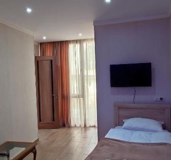 Borjomi Apartment | HOTEL Lion