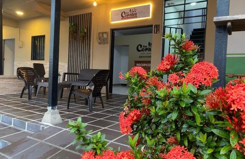 Mutata Hotel | Hotel Los Corales Mutata