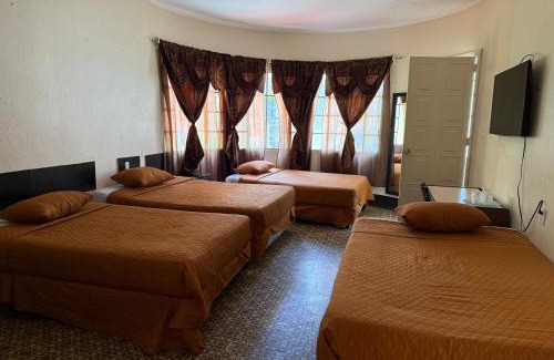 Zona 9 Bed & Breakfast | Hotel Mayesstic