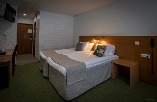 Ahtari Hotel | Hotel Mesikämmen