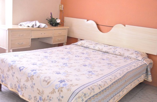 Irapuato Hotel | Hotel Metropolitan II