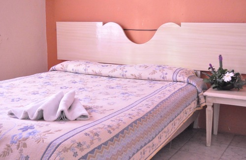 Irapuato Hotel | Hotel Metropolitan II