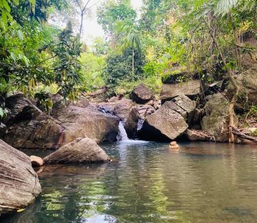 Ruwanwella Hotel | Hotel Nagas Ella