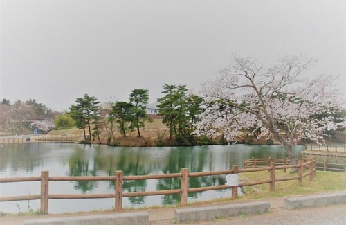 Hirono Hotel | Hotel Ocean Iwasawa/Vacation STAY 33555