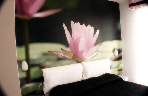 Porto Santa Margherita Hotel | Hotel Oliver