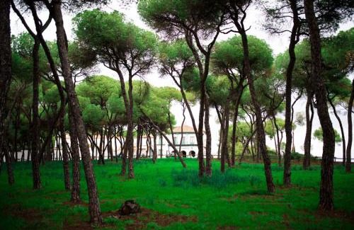 Alcala de Guadaira Hotel | Hotel Oromana