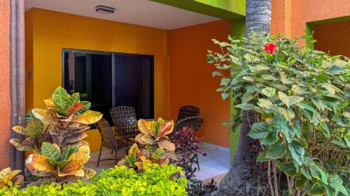 Los Barriles Resort | Hotel Palmas De Cortez