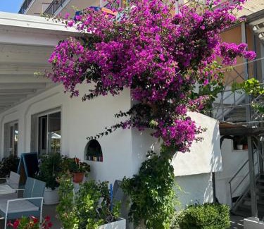 Amantea Hotel | Hotel Ristorante Santa Maria