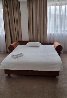 Roman Hotel | Hotel Roman by Dumbrava Business Resort