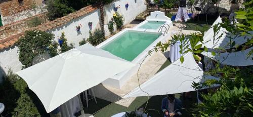 Brazatortas Hotel | Hotel Rural las Cinco Ranas