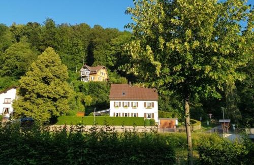 Nagold Hotel | Hotel Schiff Nagold