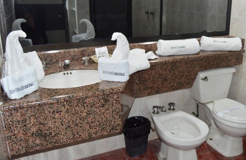 Downtown Mexico City Hotel | Hotel Seoul