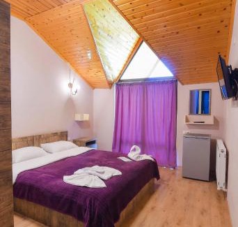 Ambrolauri Hotel | Hotel Shaori