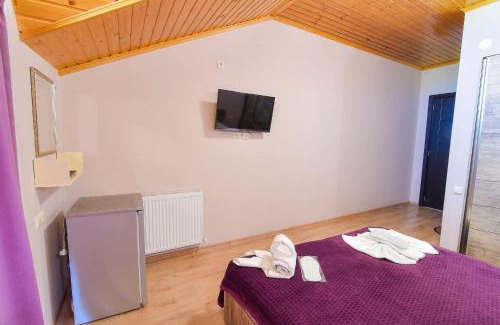 Ambrolauri Hotel | Hotel Shaori