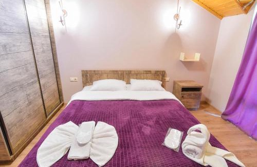 Ambrolauri Hotel | Hotel Shaori