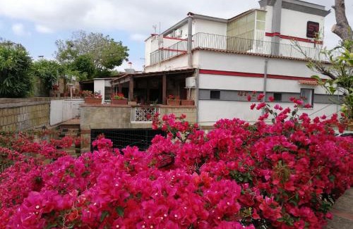 Licola Hotel | Hotel Sibilla Residence