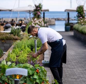 Svaneke Hotel | Hotel Siemsens Gaard