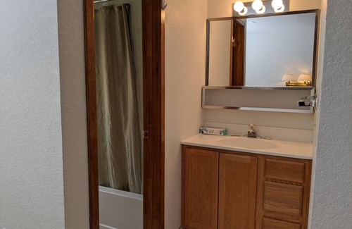 Almont Cabin | Hotel Style Lodge Room w/Kitchenette