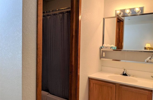 Almont Cabin | Hotel Style Lodge Room w/Kitchenette