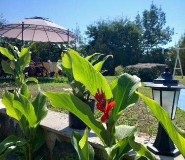 Lozenets Hotel | Hotel Sunset Beach