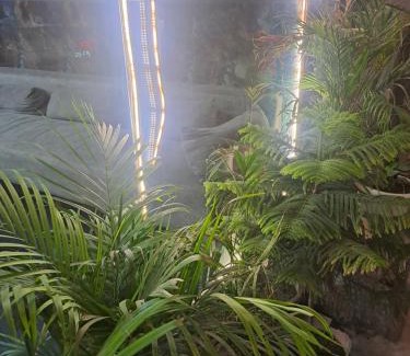 South West Hotel | Hotel Tark Premium Chanakyapuri