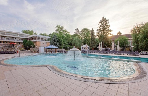 Baile Felix Hotel | Hotel Termal