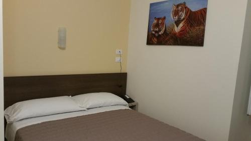 Foce Hotel | Hotel Tommaseo