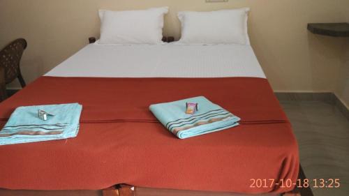 Kamalapur Hotel | Hotel Varsha Hampi