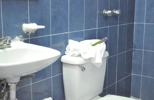 Irapuato Hotel | Hotel Viena