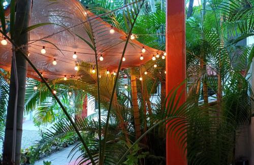 Centro House | Hotel Villa Tulipanes