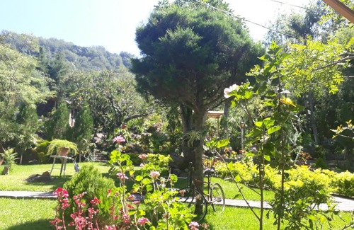 Santiago Atitlan Hotel | Hotel y Bungalows ecologicos Marcelo