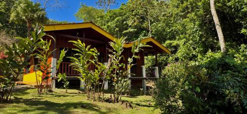Bijagua Cabin | Hotel y Puentes Colgantes Heliconias Rainforest Lodge