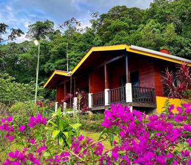 Bijagua Cabin | Hotel y Puentes Colgantes Heliconias Rainforest Lodge