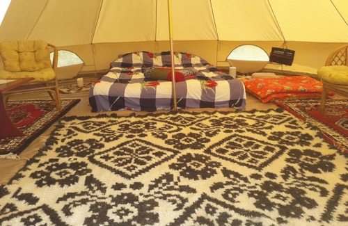 Ocna Sugatag Other | Hotelul de Bumbac-Crapul Furios