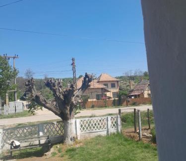 Francesti Apartment | Hotelul din grădină lui geani