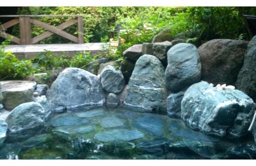 Hakone House | HOTSPRING HOUSE IN KOWAKUDANI - Vacation STAY 14262v