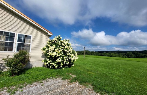 Hardin County House | House ∙ 4 bedrooms ∙ 14 guests
