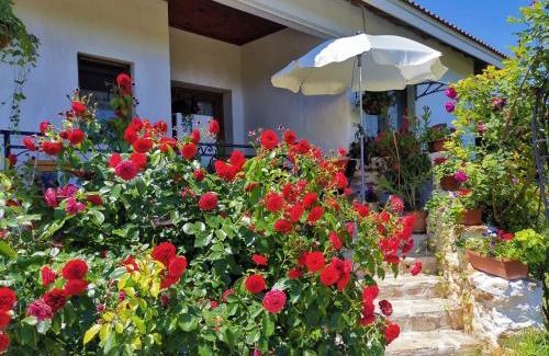 Durankulak Hotel | House Albena