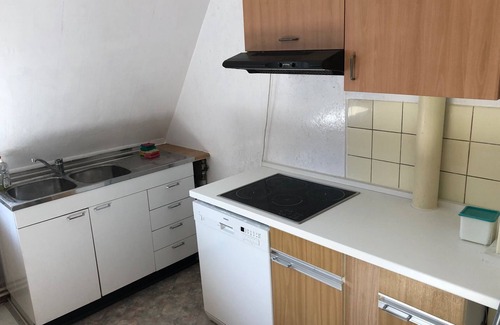 Fuerth House | House Aster ASS