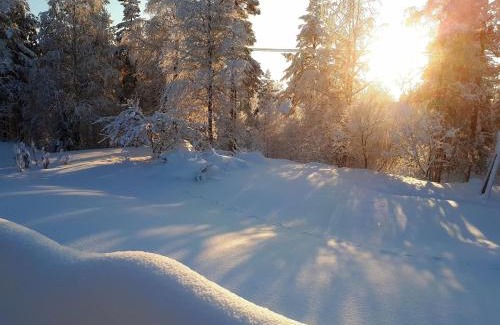 Napapiiri Villa | House at the Arctic Circle- next to Santa Claus