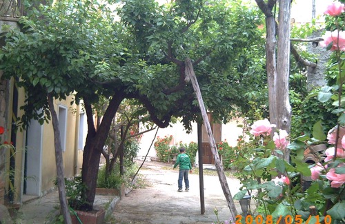 Baunei Apartment | house in the hills but 3 km from the sea