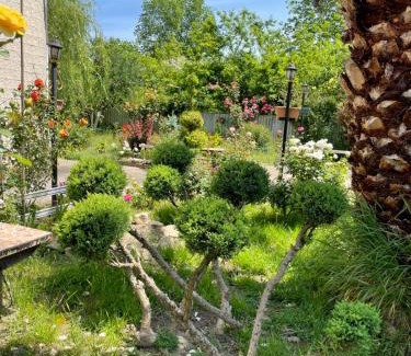 Samtredia House | House - Kutaisi International Airport 15 Minutes, Samtredia Kulashi 15Tamar Mepe Street