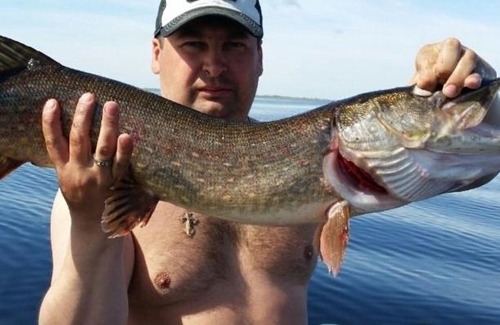 Vzvadskoe Resort | House of Hunter and Fisherman