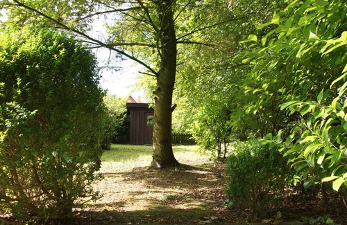 Theene House | House Theene