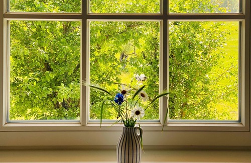 Klein Bollhagen Apartment | House Windfee WE 1: tastefully furnished 2-room apartment