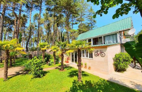 Ureki House | House & Yard Sesil Forest 90m to beach Kaprovani