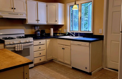 Albright House | Huge 3 BR 1 BR Home Prime Elmwood Village Pets Ok