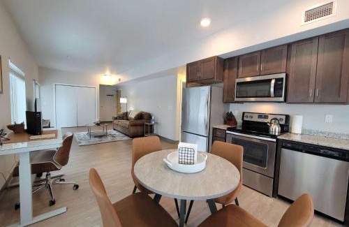 Historic Southwest Apartment | HUGE New Apartment Next to Mayo, Free Parking